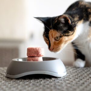 BARKER-ALIMENTACION-NATURAL-PARA-GATOS-1.jpg Barker Hamburguesas para Gatos, Pollo 20 u