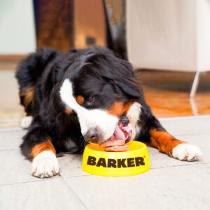 BARKER-ALIMENTACION-NATURAL-PARA-PERROS-1.jpg Barker Hamburguesas para Perros, Salmón 20 u