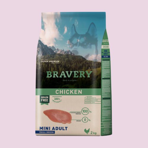 Bravery pollo perro adulto raza pequeña
