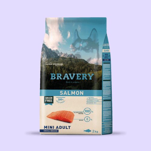Bravery salmón perro adulto raza pequeña