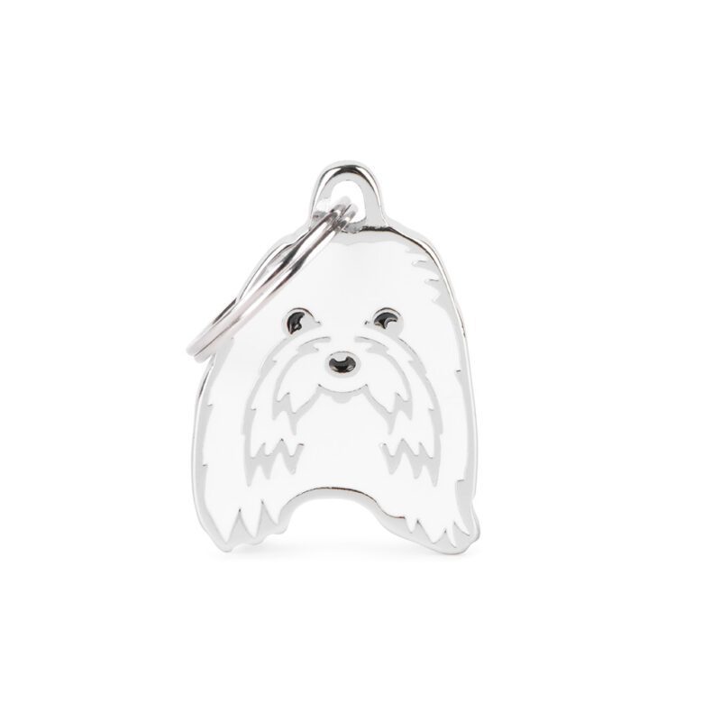 My-family-maltese-id-tag My Family perro Maltese