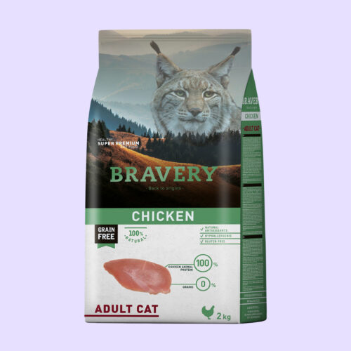 Bravery Chicken Adult Cat