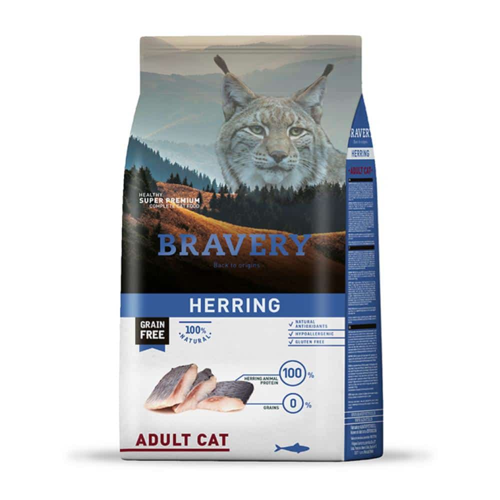 Bravery herring gato adulto