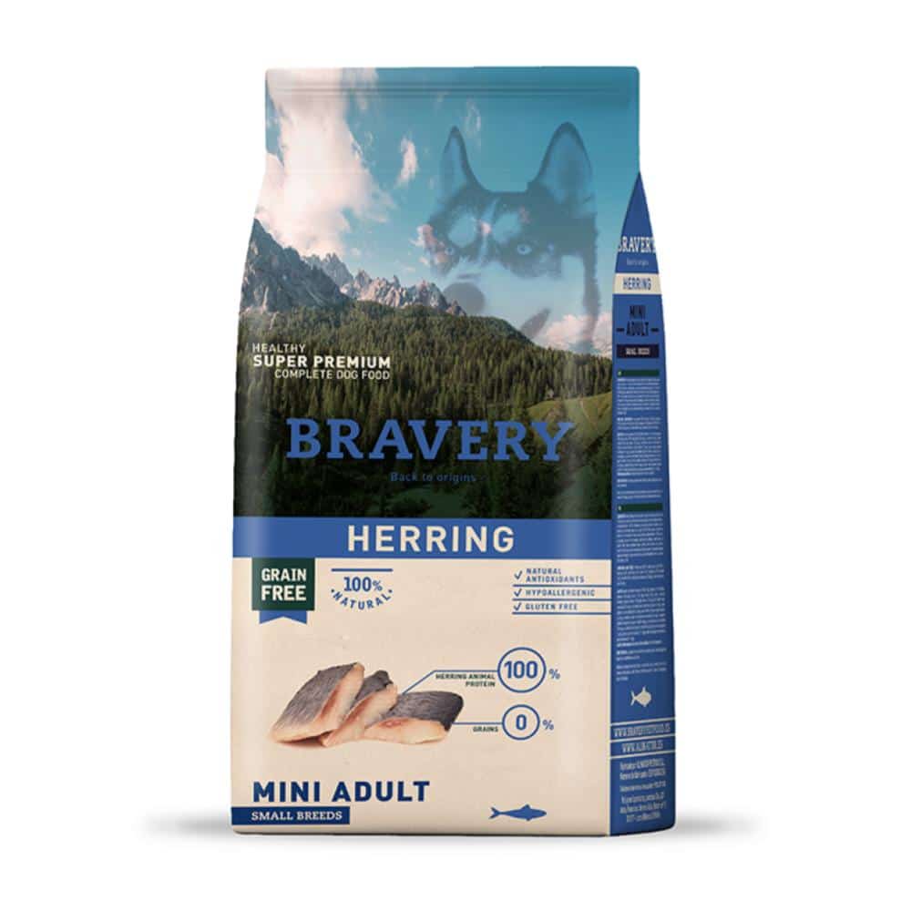 Bravery herring perro adulto raza pequeña