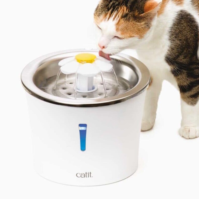 MV000447_1-1 Cat It Fuente De Agua (Acero Inoxidable) - 3 L