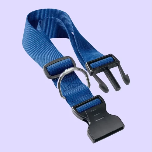 Ferplast Club Collar Blue