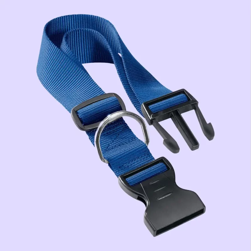 Ferplast Club Collar Blue
