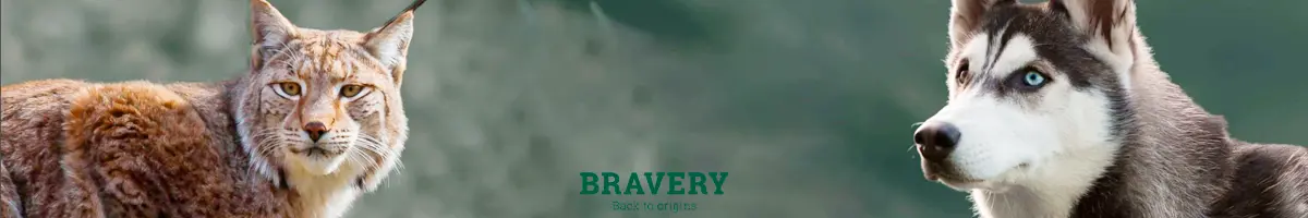 BRAVERY PERÚ